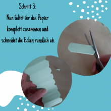 Wurm-Wettrennen 5
